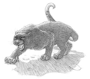 Иллюстрация к книге — Эликсир жизни [i_031.jpg]