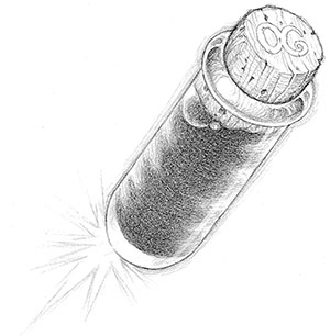 Иллюстрация к книге — Эликсир жизни [i_044.jpg]