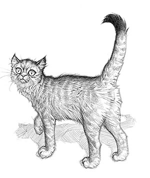 Иллюстрация к книге — Эликсир жизни [i_045.jpg]