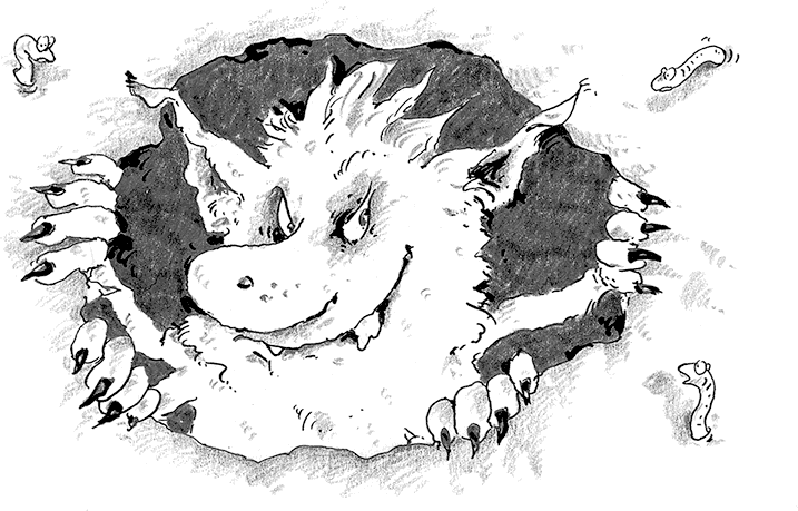 Иллюстрация к книге — Лохматый Коготь [i_004.jpg]