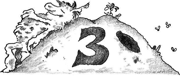 Иллюстрация к книге — Лохматый Коготь [i_008.jpg]