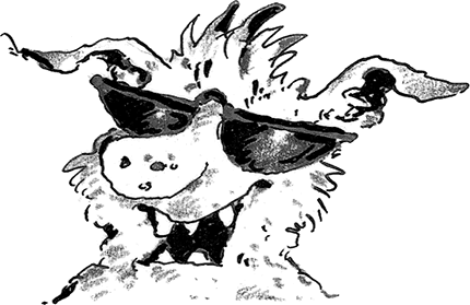 Иллюстрация к книге — Лохматый Коготь [i_019.jpg]