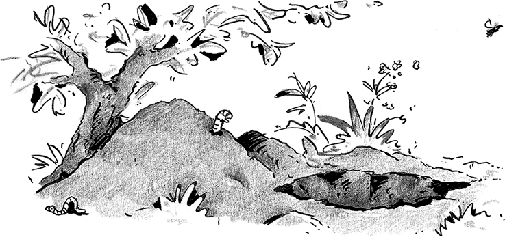 Иллюстрация к книге — Лохматый Коготь [i_027.jpg]