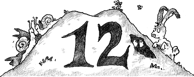 Иллюстрация к книге — Лохматый Коготь [i_038.jpg]