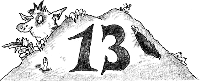 Иллюстрация к книге — Лохматый Коготь [i_044.jpg]