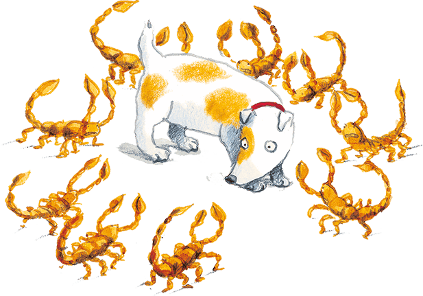 Иллюстрация к книге — Эмма и Синий джинн [i_032.jpg]