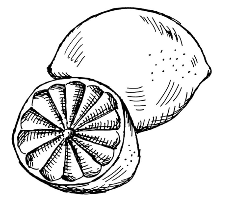 Иллюстрация к книге — Ужин с Медичи. О власти, страсти и бисквите [i_008.jpg]