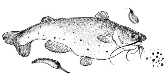 Иллюстрация к книге — Ужин с Медичи. О власти, страсти и бисквите [i_011.jpg]