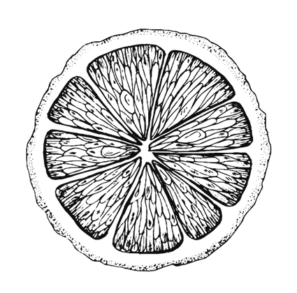 Иллюстрация к книге — Ужин с Медичи. О власти, страсти и бисквите [i_020.jpg]