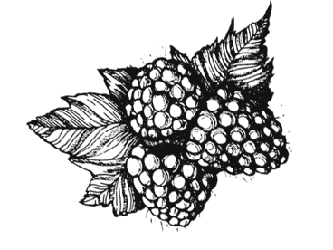 Иллюстрация к книге — Ужин с Медичи. О власти, страсти и бисквите [i_028.jpg]