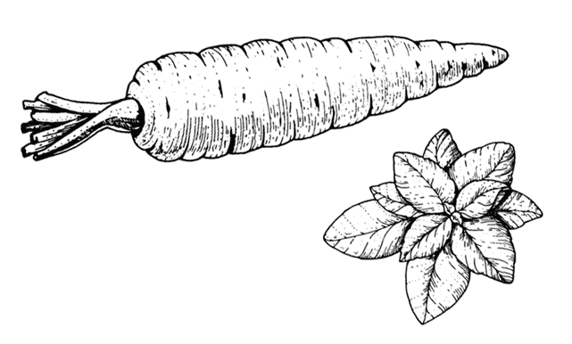 Иллюстрация к книге — Ужин с Медичи. О власти, страсти и бисквите [i_033.jpg]