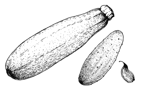 Иллюстрация к книге — Ужин с Медичи. О власти, страсти и бисквите [i_034.jpg]