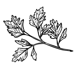 Иллюстрация к книге — Ужин с Медичи. О власти, страсти и бисквите [i_044.jpg]