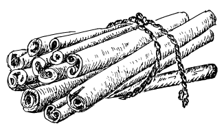 Иллюстрация к книге — Ужин с Медичи. О власти, страсти и бисквите [i_048.jpg]