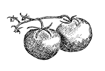 Иллюстрация к книге — Ужин с Медичи. О власти, страсти и бисквите [i_052.jpg]