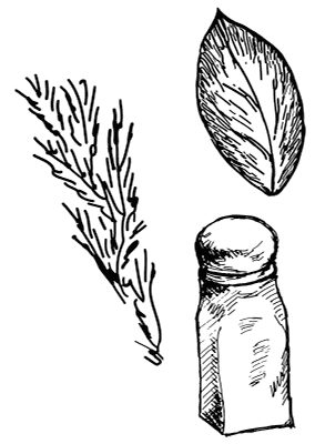 Иллюстрация к книге — Ужин с Медичи. О власти, страсти и бисквите [i_053.jpg]