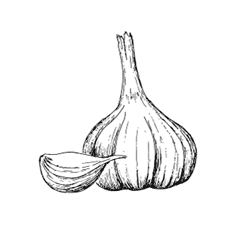 Иллюстрация к книге — Ужин с Медичи. О власти, страсти и бисквите [i_055.jpg]