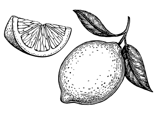 Иллюстрация к книге — Ужин с Медичи. О власти, страсти и бисквите [i_058.jpg]