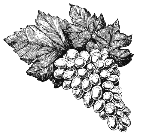 Иллюстрация к книге — Ужин с Медичи. О власти, страсти и бисквите [i_061.jpg]