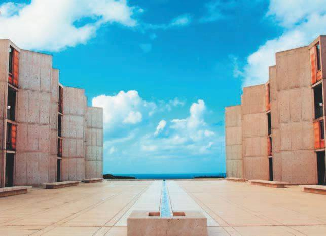 Иллюстрация к книге — Город как безумие. Как архитектура влияет на наши эмоции, здоровье, жизнь [i_020.jpg]