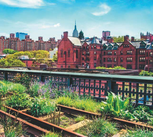 Иллюстрация к книге — Город как безумие. Как архитектура влияет на наши эмоции, здоровье, жизнь [i_026.jpg]