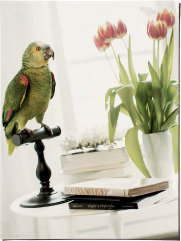 Иллюстрация к книге — Любовь. Стиль. Жизнь [i_138.jpg]