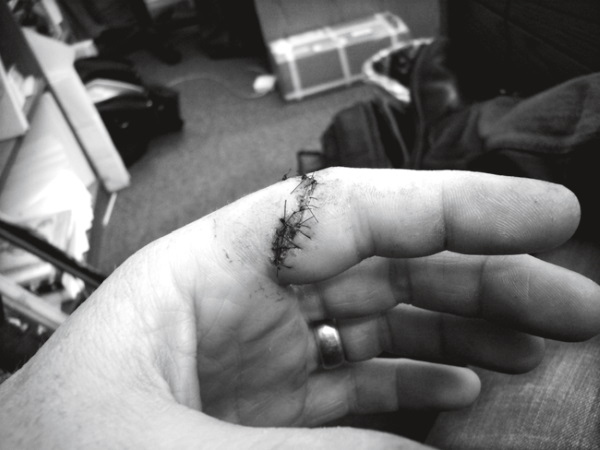 Иллюстрация к книге — Каждый инструмент – молоток. Правила жизни и творчества бессменного ведущего «Разрушителей легенд» [i_021.jpg]