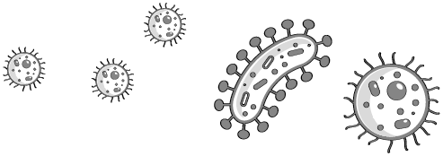 Иллюстрация к книге — Пищеварение. Как у вас с ним? Все о тесной взаимосвязи между нашим здоровьем и тем, что, сколько и когда мы едим [i_012.jpg]