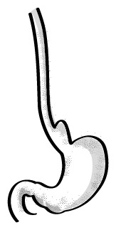 Иллюстрация к книге — Пищеварение. Как у вас с ним? Все о тесной взаимосвязи между нашим здоровьем и тем, что, сколько и когда мы едим [i_024.jpg]