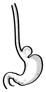 Иллюстрация к книге — Пищеварение. Как у вас с ним? Все о тесной взаимосвязи между нашим здоровьем и тем, что, сколько и когда мы едим [i_025.jpg]