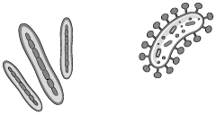 Иллюстрация к книге — Пищеварение. Как у вас с ним? Все о тесной взаимосвязи между нашим здоровьем и тем, что, сколько и когда мы едим [i_030.jpg]