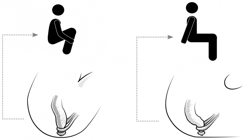 Иллюстрация к книге — Пищеварение. Как у вас с ним? Все о тесной взаимосвязи между нашим здоровьем и тем, что, сколько и когда мы едим [i_039.jpg]