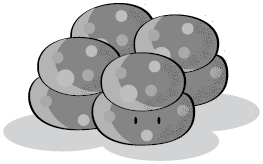 Иллюстрация к книге — Пищеварение. Как у вас с ним? Все о тесной взаимосвязи между нашим здоровьем и тем, что, сколько и когда мы едим [i_046.jpg]