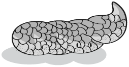 Иллюстрация к книге — Пищеварение. Как у вас с ним? Все о тесной взаимосвязи между нашим здоровьем и тем, что, сколько и когда мы едим [i_047.jpg]