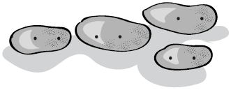 Иллюстрация к книге — Пищеварение. Как у вас с ним? Все о тесной взаимосвязи между нашим здоровьем и тем, что, сколько и когда мы едим [i_049.jpg]