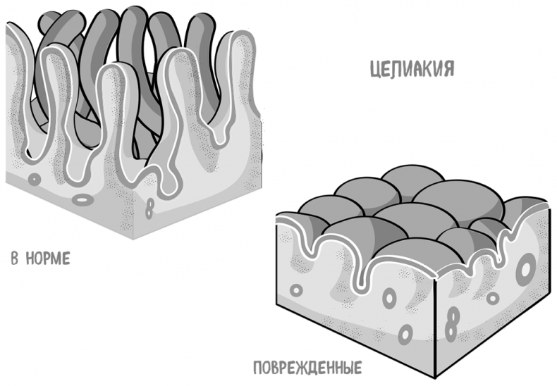 Иллюстрация к книге — Пищеварение. Как у вас с ним? Все о тесной взаимосвязи между нашим здоровьем и тем, что, сколько и когда мы едим [i_091.jpg]