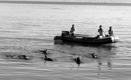 Иллюстрация к книге — Записки странствующего писателя о подводных погружениях и древних цивилизациях [i_011.jpg]