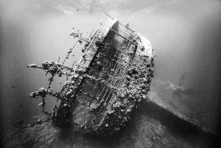 Иллюстрация к книге — Записки странствующего писателя о подводных погружениях и древних цивилизациях [i_025.jpg]