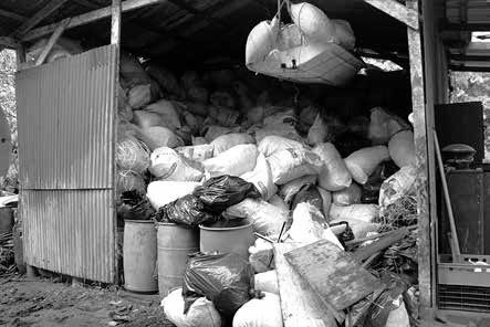 Иллюстрация к книге — Записки странствующего писателя о подводных погружениях и древних цивилизациях [i_038.jpg]