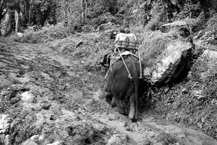 Иллюстрация к книге — Записки странствующего писателя о подводных погружениях и древних цивилизациях [i_054.jpg]