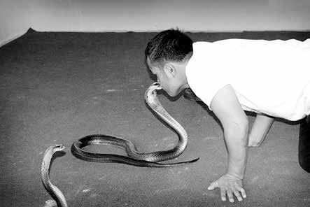 Иллюстрация к книге — Записки странствующего писателя о подводных погружениях и древних цивилизациях [i_061.jpg]