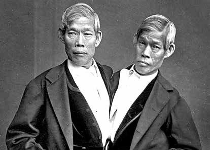 Иллюстрация к книге — Записки странствующего писателя о подводных погружениях и древних цивилизациях [i_063.jpg]