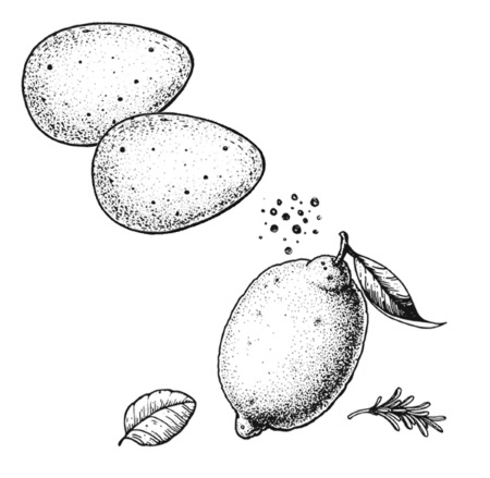 Иллюстрация к книге — Умбрия – зеленое сердце Италии. Тайна старого аббатства и печенье святого Франциска [i_065.jpg]