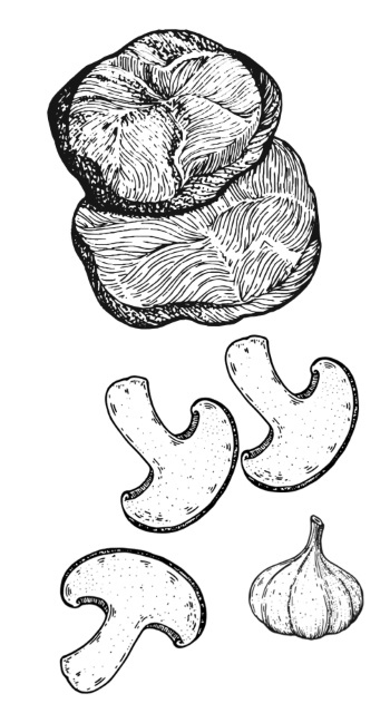 Иллюстрация к книге — Умбрия – зеленое сердце Италии. Тайна старого аббатства и печенье святого Франциска [i_067.jpg]