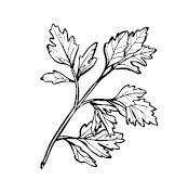 Иллюстрация к книге — Умбрия – зеленое сердце Италии. Тайна старого аббатства и печенье святого Франциска [i_075.jpg]