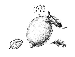 Иллюстрация к книге — Умбрия – зеленое сердце Италии. Тайна старого аббатства и печенье святого Франциска [i_082.jpg]