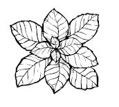 Иллюстрация к книге — Умбрия – зеленое сердце Италии. Тайна старого аббатства и печенье святого Франциска [i_086.jpg]