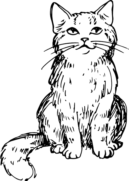 Иллюстрация к книге — Увлекательная психология [i_017.jpg]