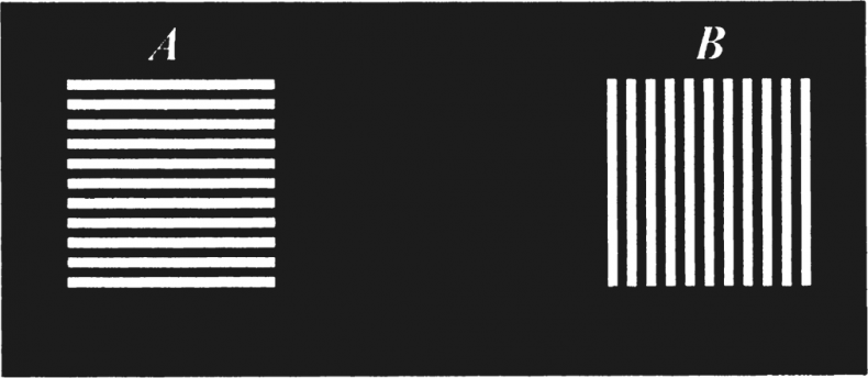 Иллюстрация к книге — Увлекательная психология [i_041.jpg]