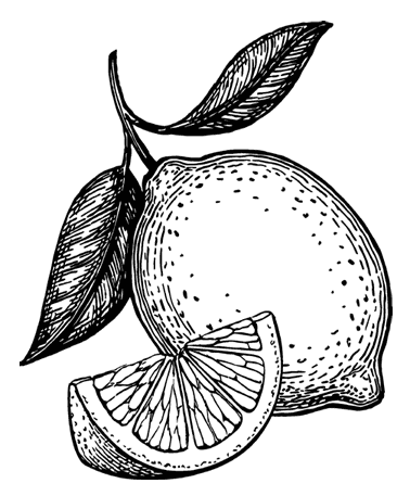 Иллюстрация к книге — Увлекательная психология [i_072.jpg]